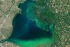 Algal Bloom in Lake St.Clair