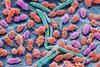 Low-Res_Faecal bacteria_c.Science Photo Library_Alamy Stock Photo_Editorial Enhanced