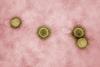 Novel_Coronavirus_SARS-CoV-2_-_53827311942 (1)