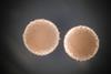 Streptomyces hygroscopicus