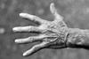 hand-351277_960_720