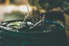 amritanshu-sikdar-LoGnr-w1D8E-unsplash (1)