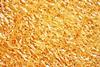 Treponema_pallidum_-_very_high_mag