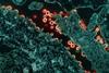 Low-Res_hiv-1-virus-particles-