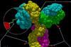 Antibody-drug_conjugate