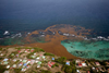 Sargassum bloom