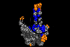 Low-Res_PM_08_Corona_Viruspackung_NTD-RNA_v2