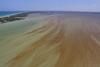 Low-Res_habs-sebastian-mcfarland