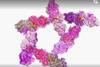 cRISPR