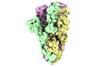 Cryo-EM structures of CeSPIACE-spike complex