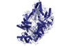 CRISPR_Cas12a_system