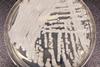 21796_lores