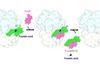 Low-Res_map_fusidic_acid_resistance