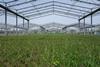 Test plot with sustainable grassland use in the GCEF field experiment overseen by the Helmholtz Centre for Environmental Research (UFZ) in Bad Lauchstädt.