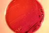 19110_lores