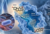 Low-Res_Image-Bernardi-Ridlon-NatComm