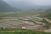 China_-_Yangshuo_29_-_Rice_Paddy_Terraces_(140905203)