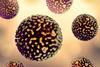 Hepatitisb