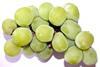 Shine Muscat grapes