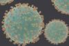 Coronavirus_SARS-CoV-2 (1)