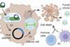 Low-Res_virus Figure 1A