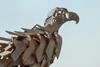 maxwell-ingham-GkxEVySODHI-unsplash