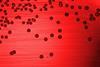 Haemophilus_influenzae_01