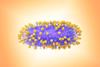 Human_Respiratory_Syncytial_Virus_(RSV)_-_52456179236