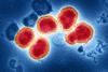 Influenza_A_Virus_(H3N2)_(52736747256)