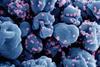 Novel_Coronavirus_SARS-CoV-2_070124
