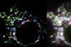 Low-Res_Diptych