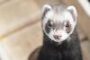pexels-verina-37726706-7179721 (1)
