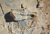 Low-Res_09_geowiss_geomikrobio_mikroorganismen_01