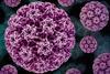 Human_Papillomavirus_(HPV)