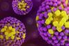 Influenza_Virus_-_52637526839