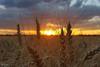 Low-Res_202507_Weckwerth_Abb1