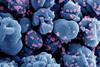 Novel_Coronavirus_SARS-CoV-2_070124