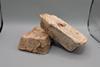 Low-Res_fungus bricks NASA STTR (1)