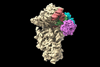 Low-Res_EMCV_TH Lab-DBG IISc
