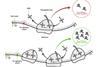 Low-Res_Figure1-web