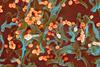 Lassa_virus_budding_off_a_Vero_cell