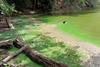 Low-Res_Blue Green Algae bloom