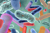 Low-Res_BGI Genomics' study on gut bacteria