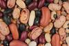 Mixture of beans