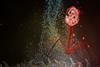 Low-Res_TrendsinMicrobiology_COVER_V3