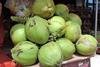 Arecales_-_Cocos_nucifera_-_8