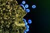 HIV_Virus_Particles_-_53567924670