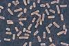 Salmonella bacteria
