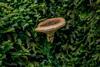 low-res (52)