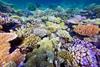 Low-Res_JCH_GBR(1)
